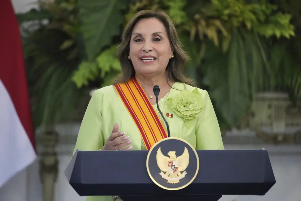 ONU critica Ley de Amnistía en Perú por violar estándares internacionales