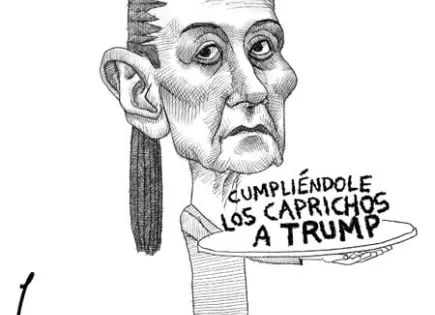 SOBERANAS RODILLAS...