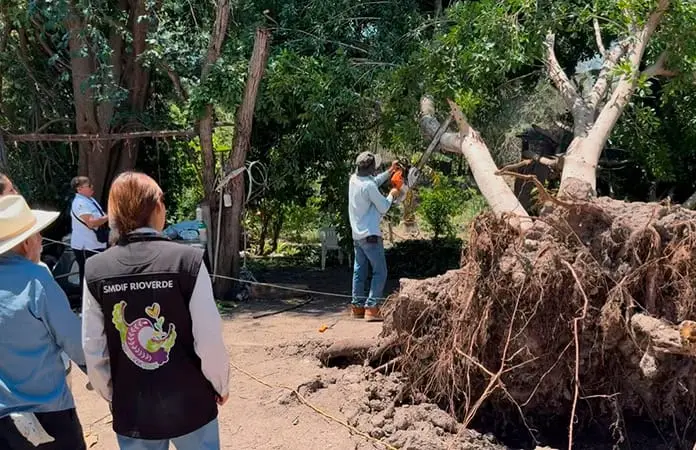 LLevan apoyo a comunidad de Angostura