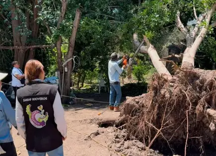 LLevan apoyo a comunidad de Angostura
