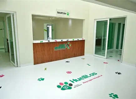 Refugio Huellitas mantiene espacios disponibles mientras entrena perros de seguridad