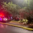 Fallece joven al estrellarse contra un árbol