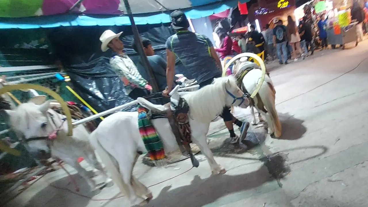 Fenapo elimina carrusel de ponis y rodeo con borregos