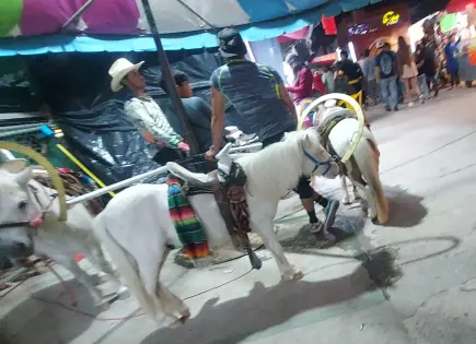 Fenapo elimina carrusel de ponis y rodeo con borregos