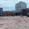 Sembrarían árboles en Plaza de Fundadores