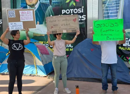 Exigen Detener Carrusel de Ponys en la Fenapo