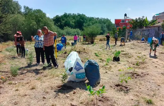 Reforestación en el río Paisanos