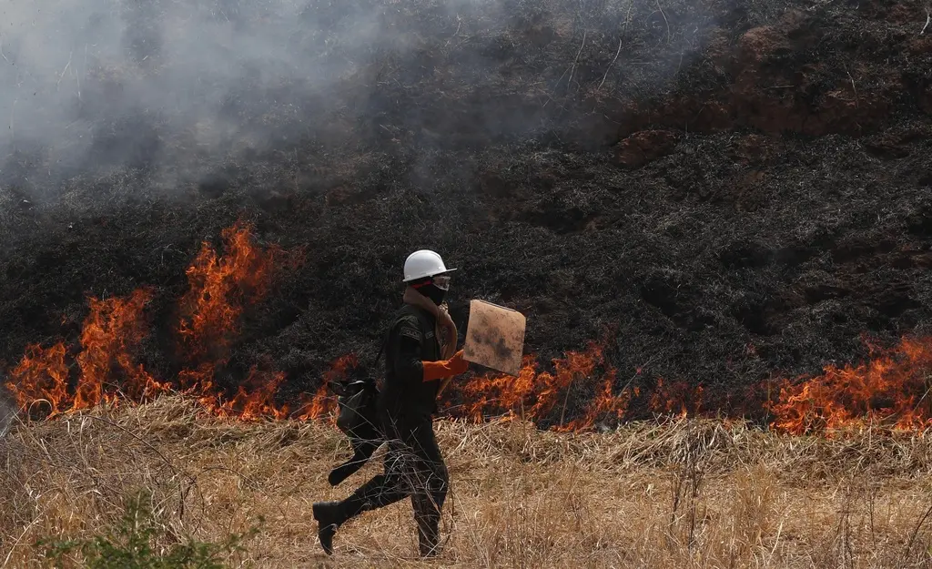 Bolivia declara emergencia nacional por incendios forestales
