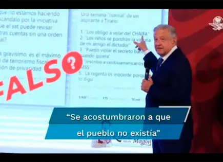 PJF resuelve que Quién es Quién de las Mentiras violó derechos