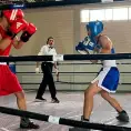 Surgen ganadores en torneo de box