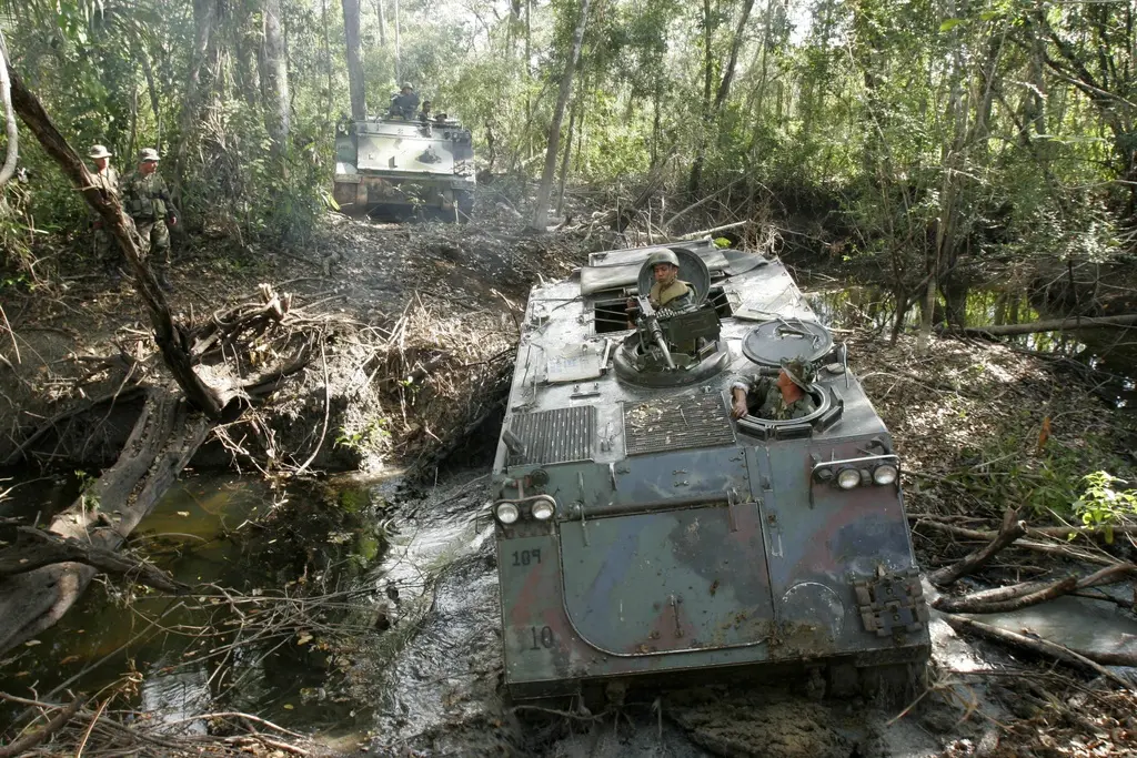 Protección de la selva maya: retos y compromisos de seguridad