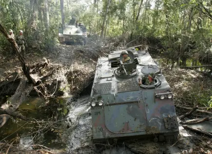 Protección de la selva maya: retos y compromisos de seguridad