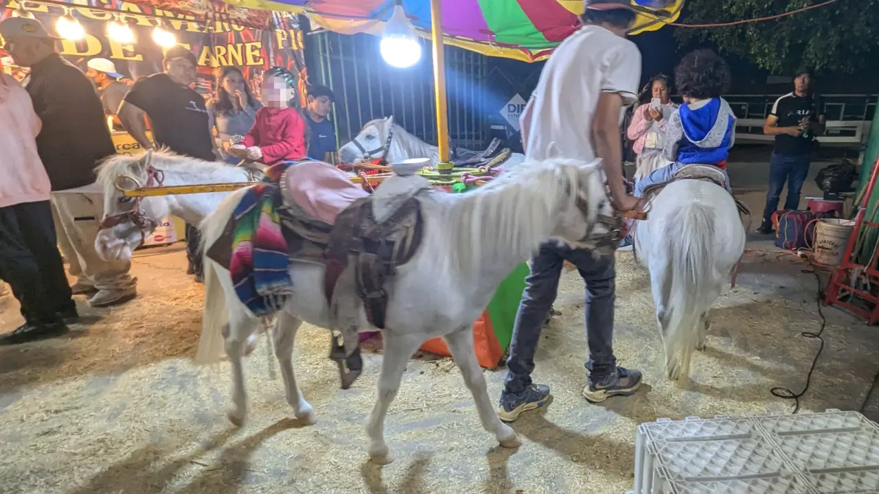 Fenapo cede: acuerda medidas contra explotación animal