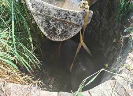 Rescatan a caballo tras caer a un pozo en Valles