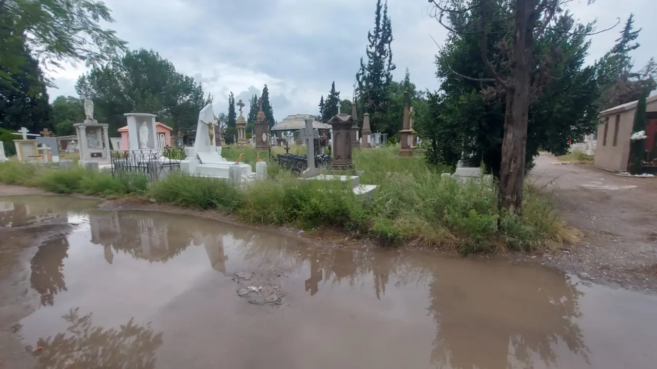 Lluvias disparan maleza en el panteón del Saucito; Ayto pide paciencia