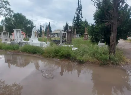 Lluvias disparan maleza en el panteón del Saucito; Ayto pide paciencia