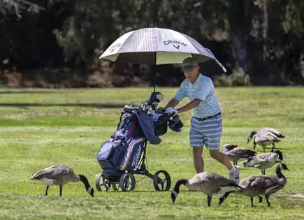 Oeste de EU vive el calor extremo