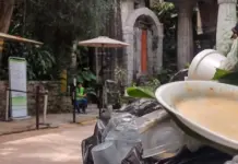 Faltan botes de basura en jard&iacute;n escult&oacute;rico