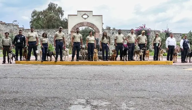 Gradúan a 14 binomios caninos para combatir gusano barrenador