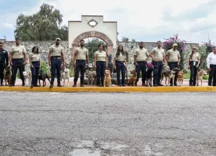 Gradúan a 14 binomios caninos para combatir gusano barrenador