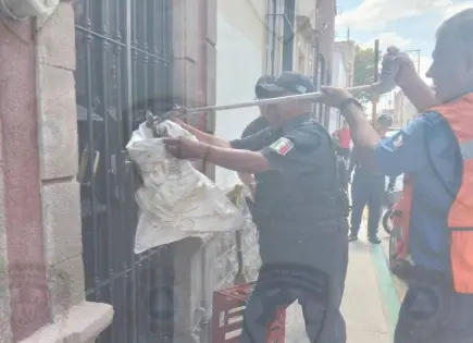 Culebra causa pánico en el centro histórico