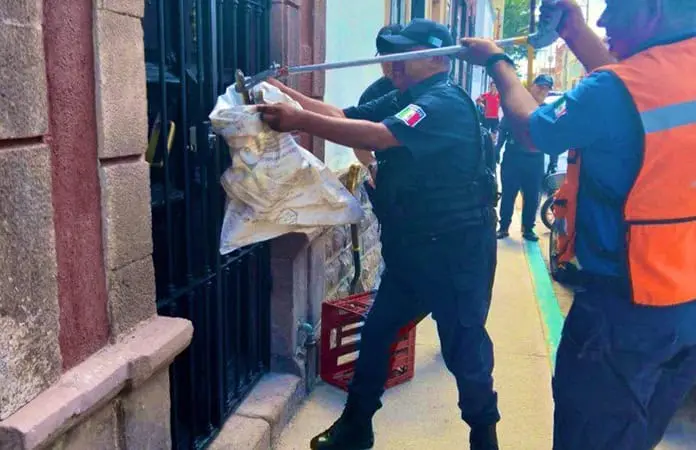 Bomberos rescatan una culebra en una casa de calle Comonfort