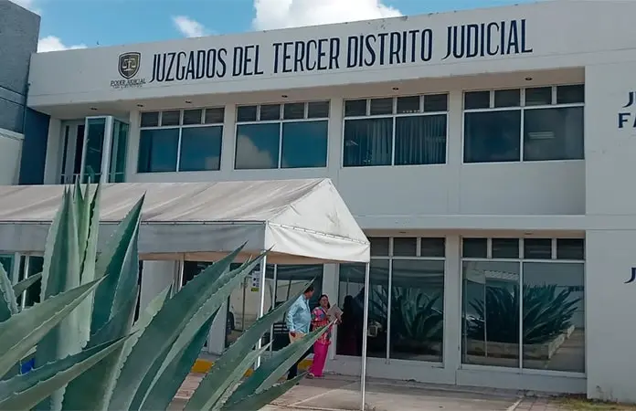 Jauría de perros atacan a abogados