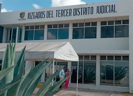 Jauría de perros atacan a abogados