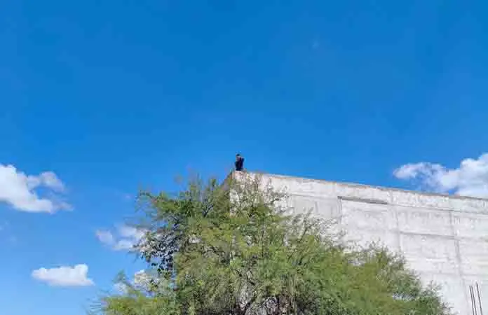 Policía frustra robo en el centro