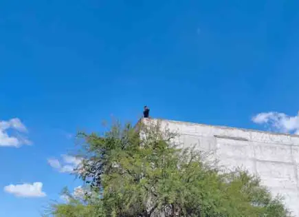 Policía frustra robo en el centro