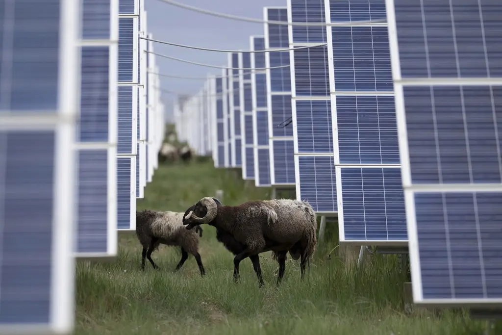 China construye el mayor parque solar del mundo en lucha contra emisiones