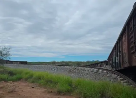 Se descarrila tren con 9 vagones en Carbó, Sonora