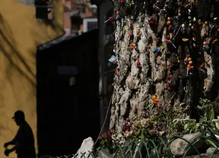 Veneración al árbol milagroso en La Paz: un fenómeno de devoción
