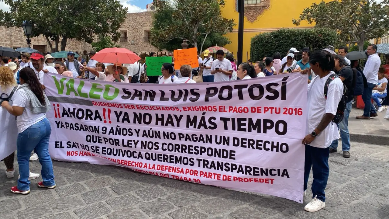 Foto: Pulso