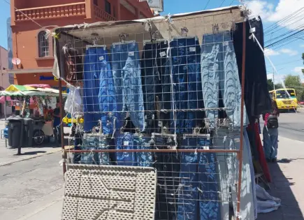 Destaca SLP entre los estados donde creció economía informal 