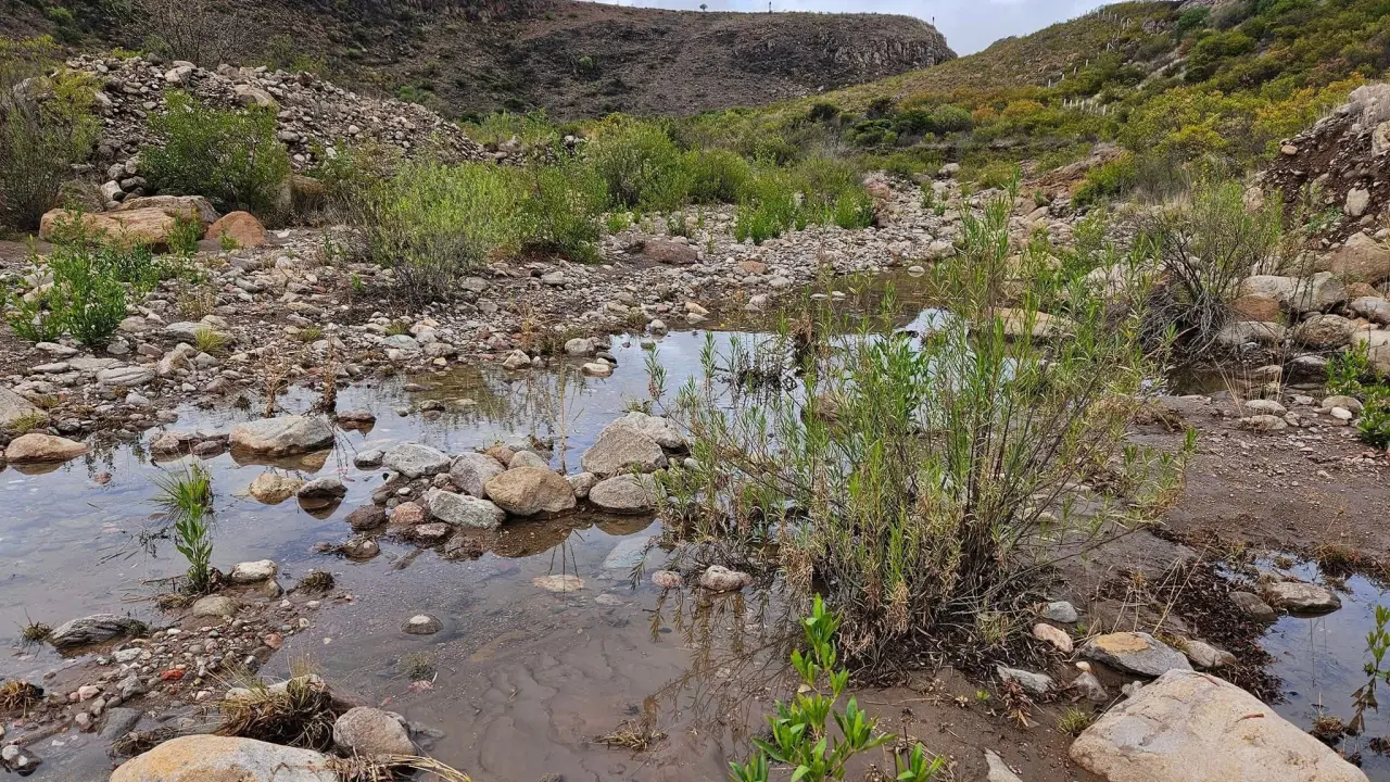 Exigen frenar contaminación de Río Calabacillas