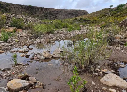 Exigen frenar contaminación de Río Calabacillas