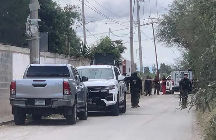 Restos hallados en Villa de Pozos