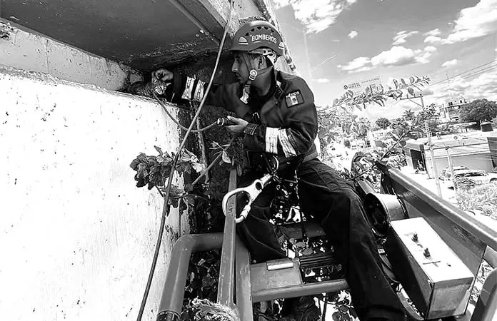 Bomberos rescatan un felino