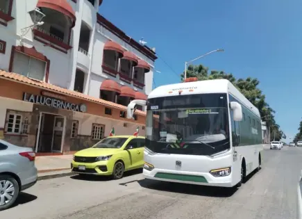 Como atractivo turístico: curiosos suben al RedMetro solo para conocerlo