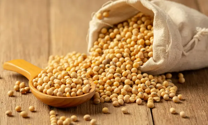 Lentejas, garbanzos y soya: legumbres que aportan proteínas y cuidan tu salud