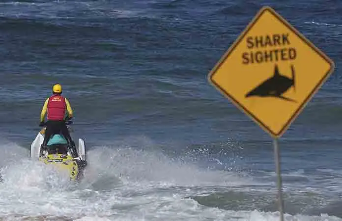 Tiburón mata a un australiano