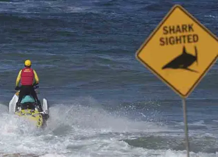 Tiburón mata a un australiano