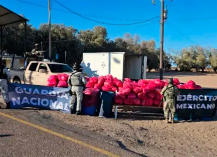 Aseguran más de una tonelada de metanfetamina en Sonora