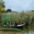 Hallan cuerpo de hombre flotando en un estanque