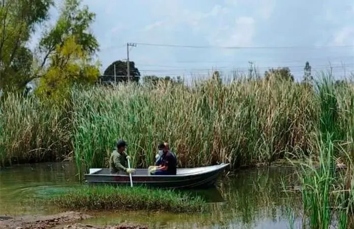 Hallan cuerpo de hombre flotando en un estanque