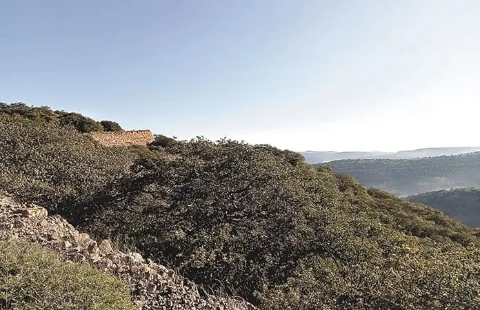 “El Camino Real de Tierra Adentro”, patrimonio de SLP