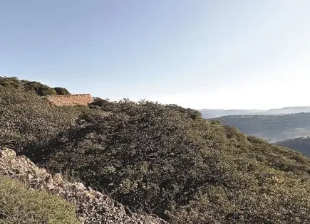 “El Camino Real de Tierra Adentro”, patrimonio de SLP