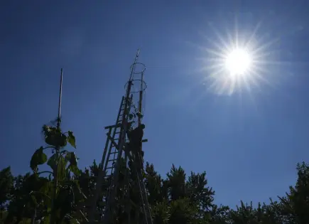 El girasol más alto del mundo florece en Indiana como homenaje a Ucrania