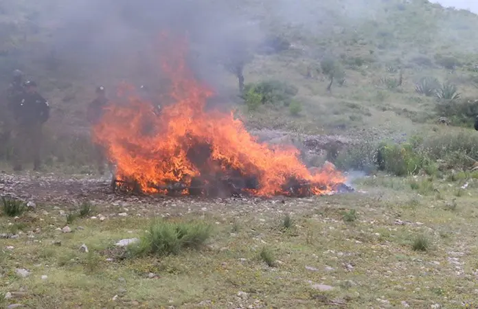 Incineran más de 187 kilos de droga incautada